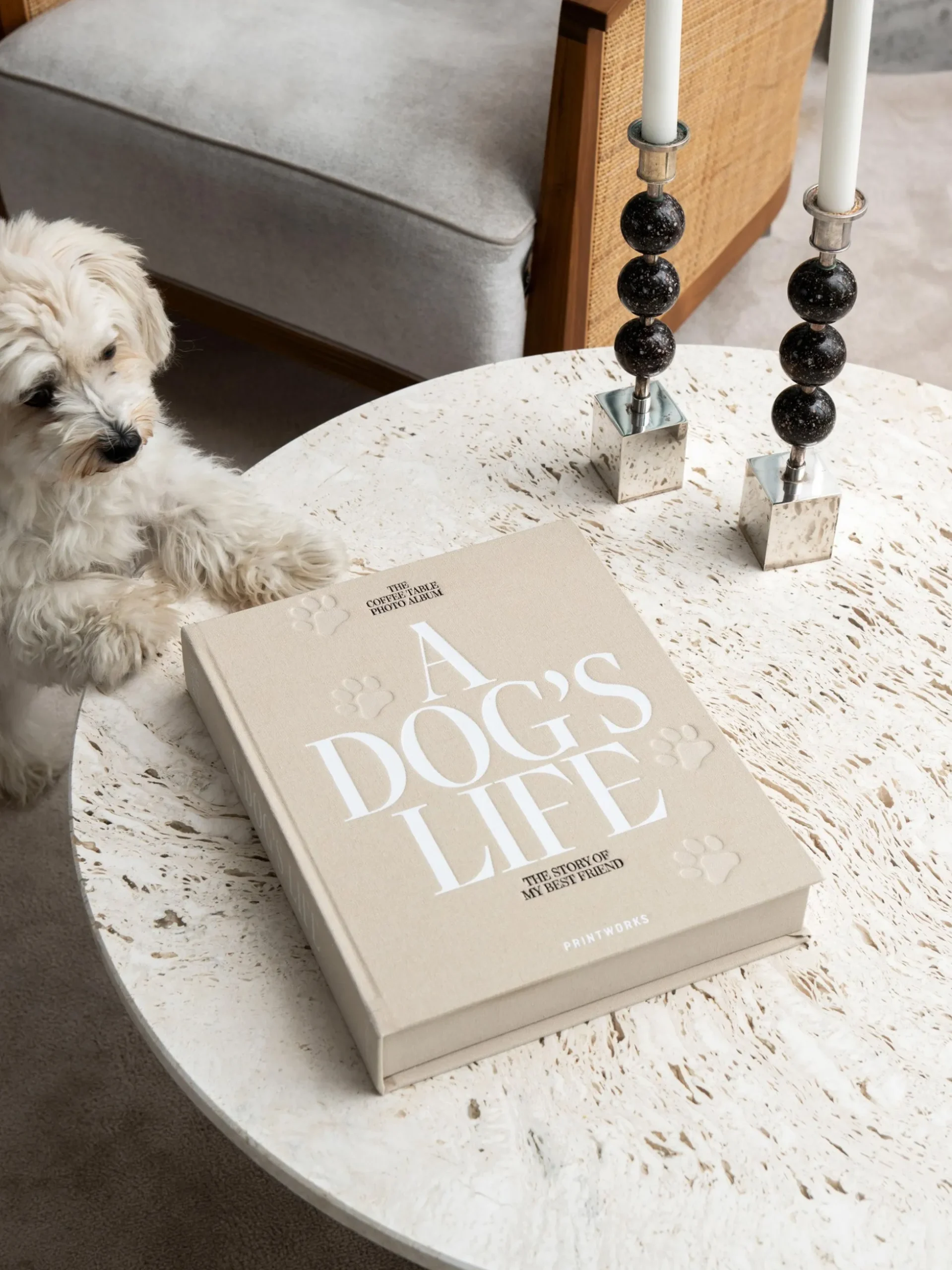 Album fotografico A Dog's Life