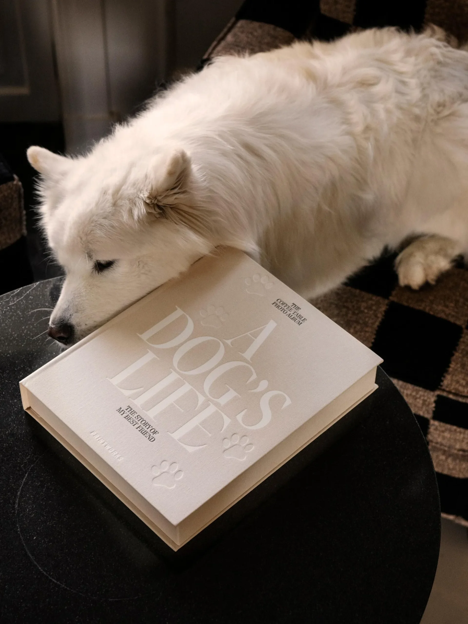 Album fotografico A Dog's Life