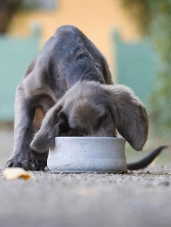 Ciotola per animali fatta a mano Rocky, varie misure