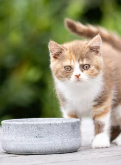 Ciotola per animali fatta a mano Rocky, varie misure
