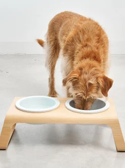 Ciotola per cani con supporto Desco, alt. 10 cm
