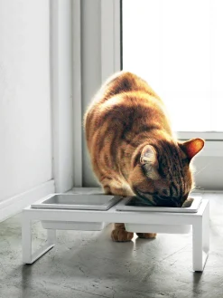 Ciotole per animali con supporto Tower
