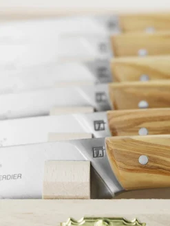 Coltelli fatti a mano con finitura satinata Le Thiers Elegance 6 pz