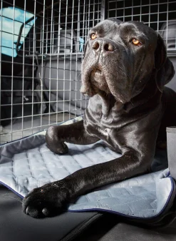 Coperta per animali trapuntata Oxford, varie misure