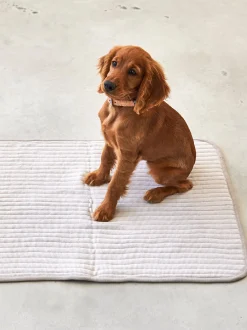 Coperta per cani in cotone Onda, varie misure