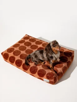 Cuccia per animali Dot, varie misure