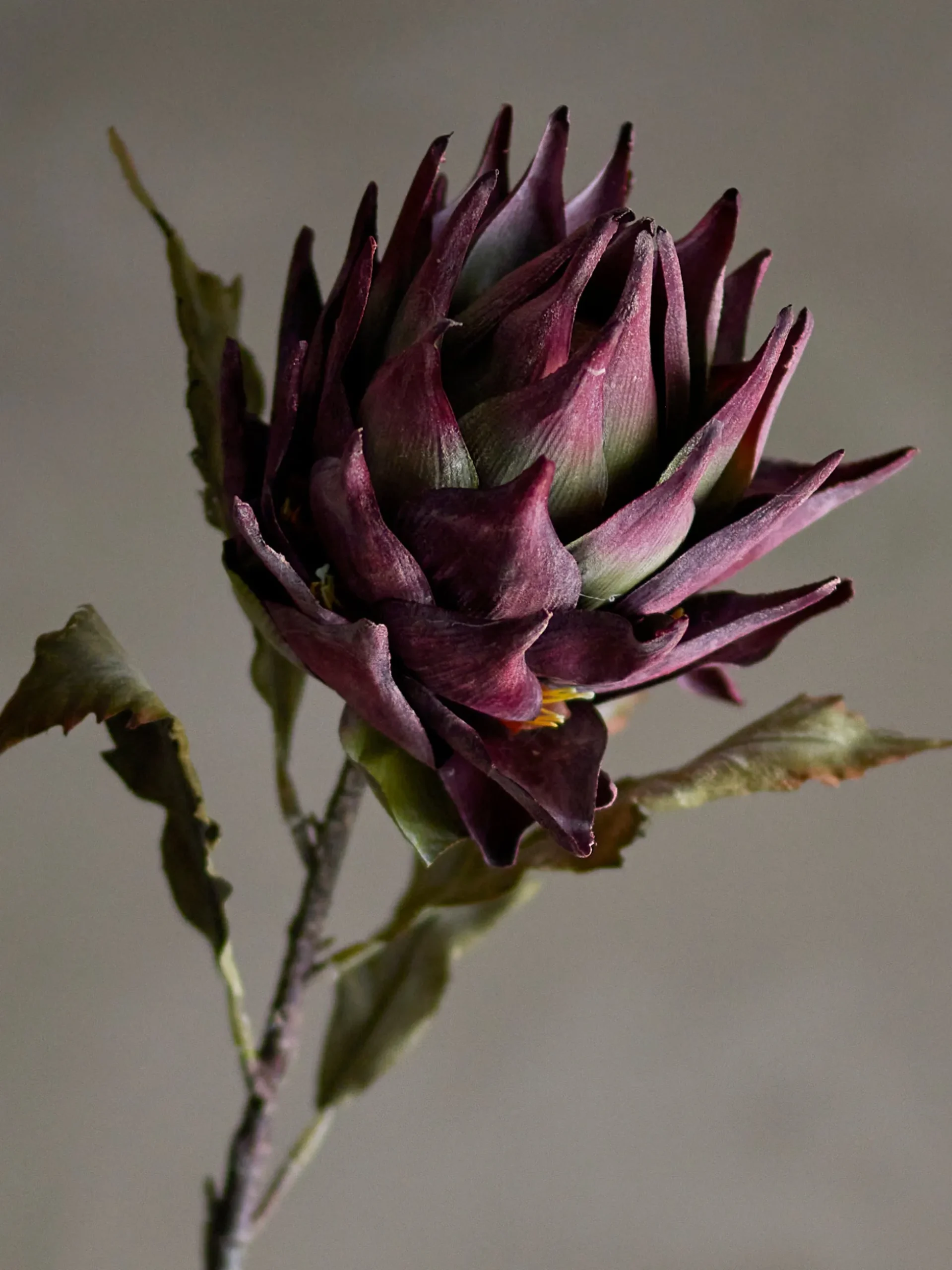 Fiore artificiale Protea