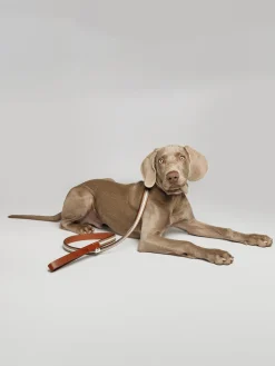 Guinzaglio per cani fatto a mano Baseball