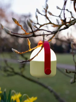 Lampada da tavolo portatile a LED con luce regolabile Ole
