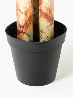 Pianta artificiale Banana Tree