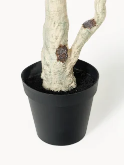 Pianta artificiale Birch Tree Green