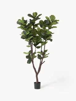 Pianta artificiale Fiddle Leaf Fig