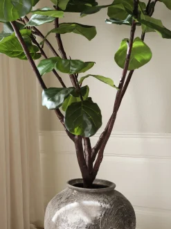 Pianta artificiale Fiddle Leaf Fig