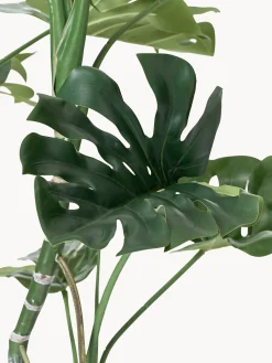 Pianta artificiale Monstera