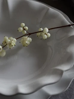 Servizio di piatti con bordo dipinto a mano Rosa 12 pz