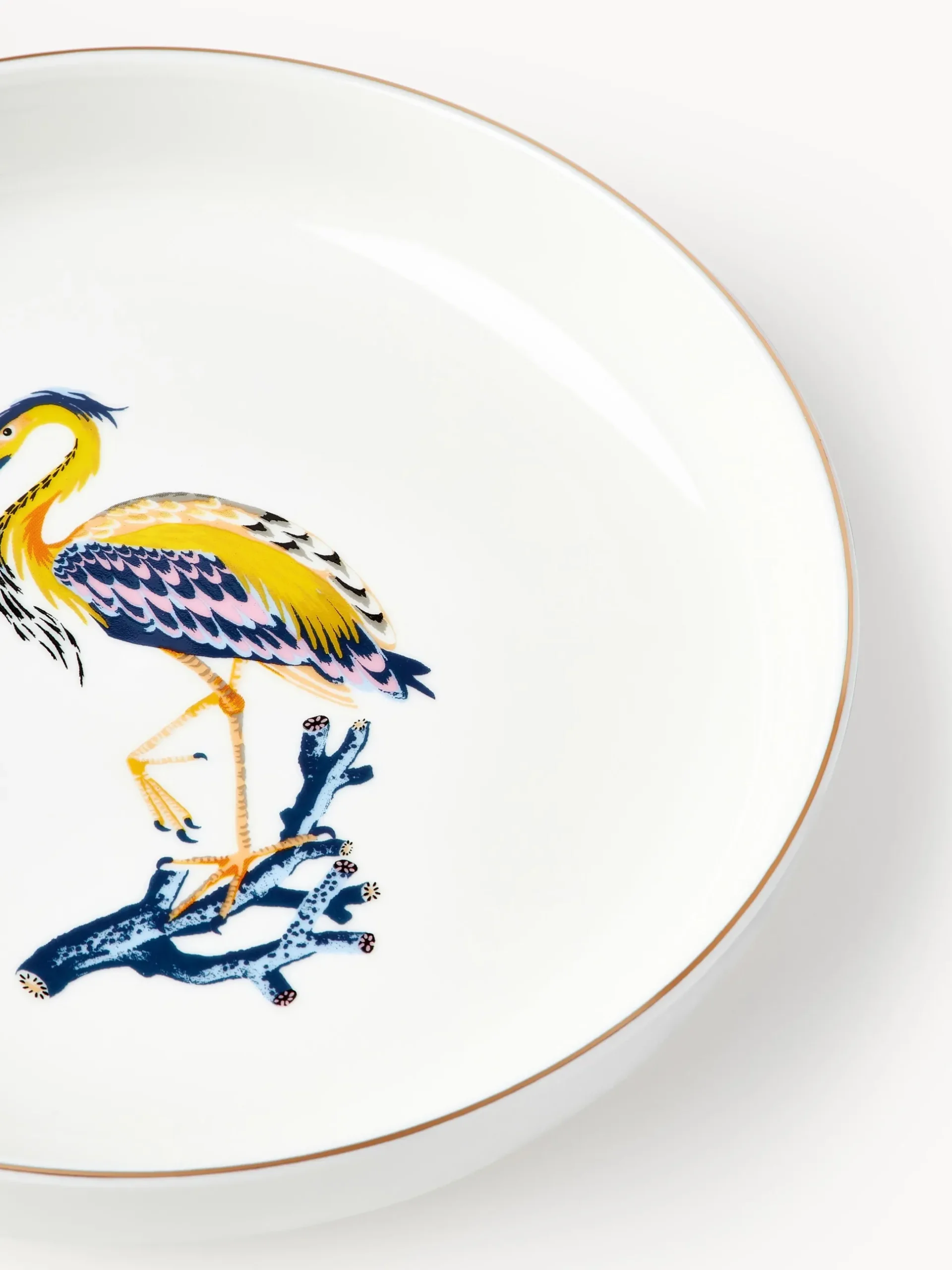 Set di 4 piatti per pasta Flamboyant