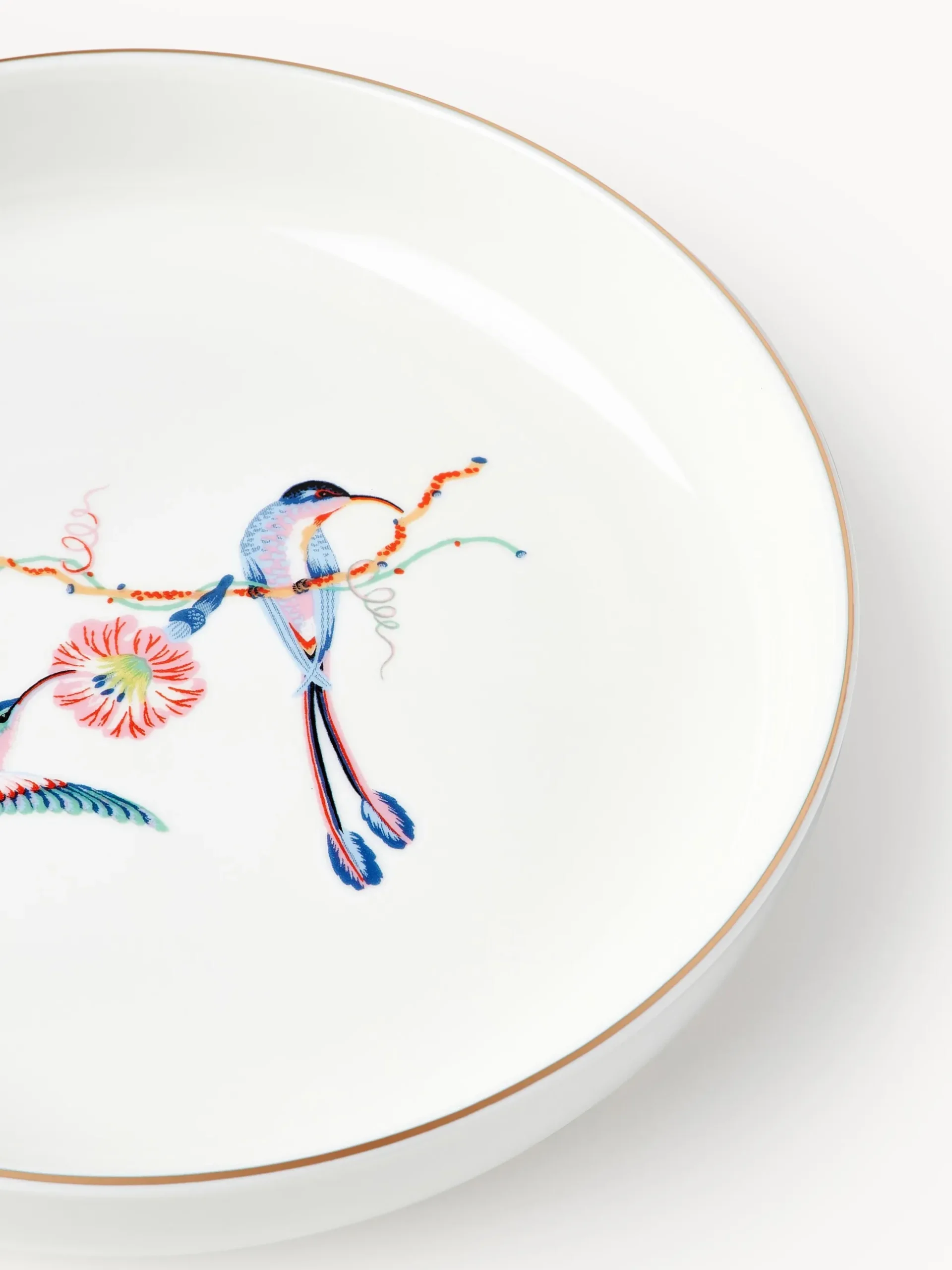 Set di 4 piatti per pasta Flamboyant