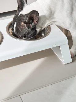 Tappetino per cani Tova, in diverse misure